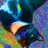 leastfavorite_’s avatar