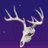 grumpwitch’s avatar
