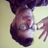 YourPalFanton’s avatar