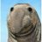shitlondon’s avatar